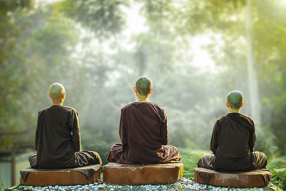 theravada buddhism, nuns, meditation, monastic, religion, sayalay