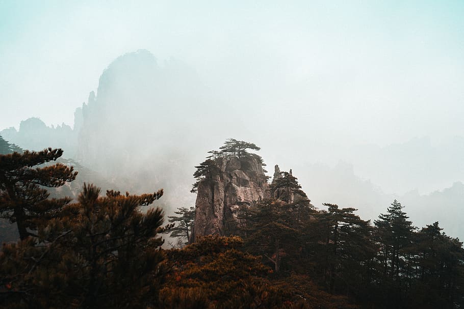 brown mountain under white sky, tree, plant, fog, beauty in nature HD wallpaper