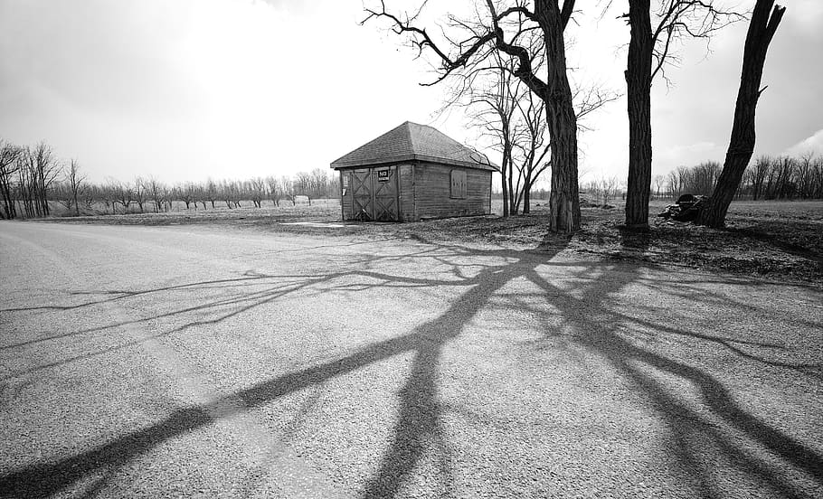gray house beside tree, nature, outdoors, building, rural, countryside HD wallpaper