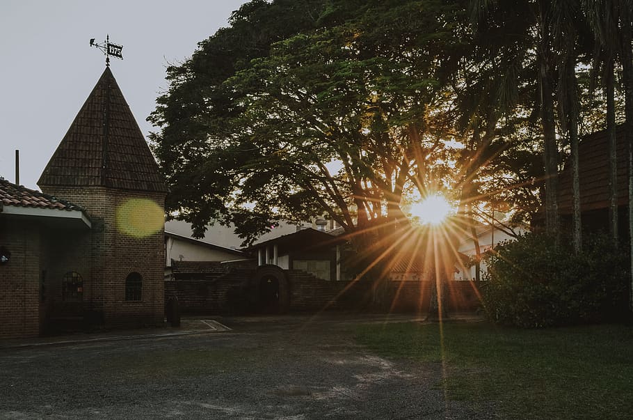 flare, light, sunlight, nature, building, tree, outdoors, sol HD wallpaper