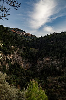 lebanon, bater, sky, tree, plant, cloud - sky, scenics - nature HD wallpaper