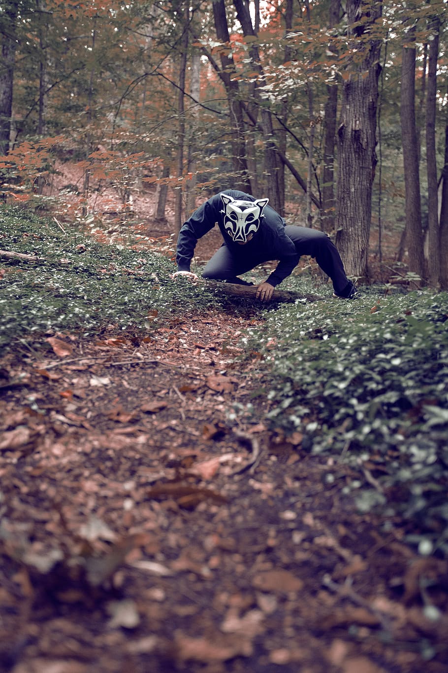 man wearing black mask, tree, plant, land, forest, nature, tree trunk HD wallpaper
