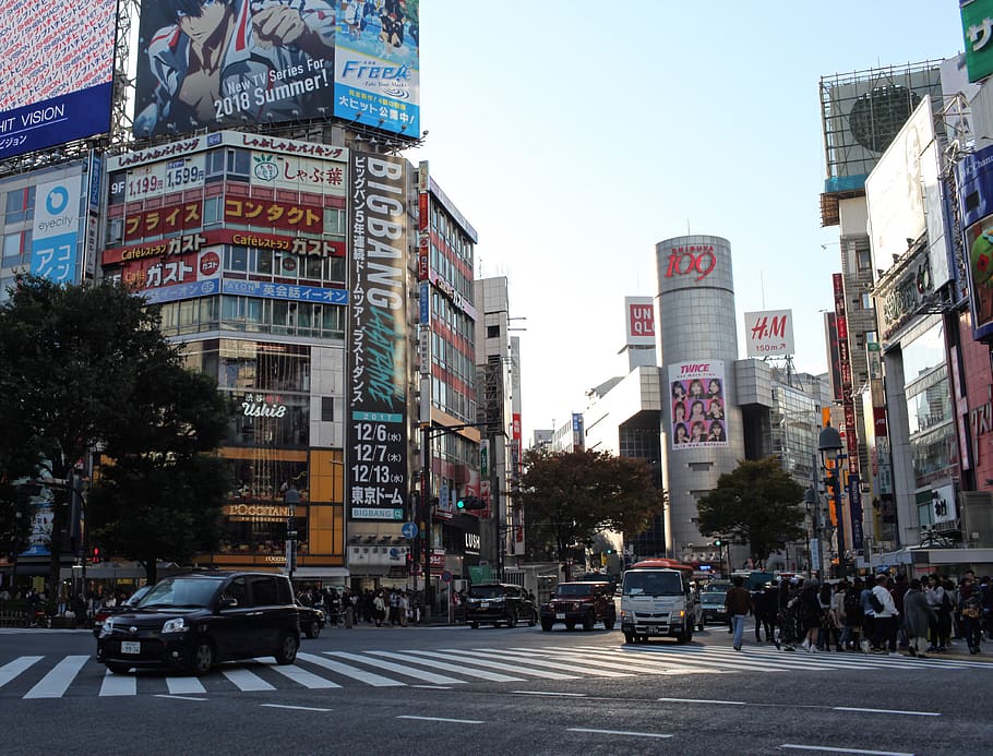 tokyo, shibuya, city, crossing, people, japan, architecture