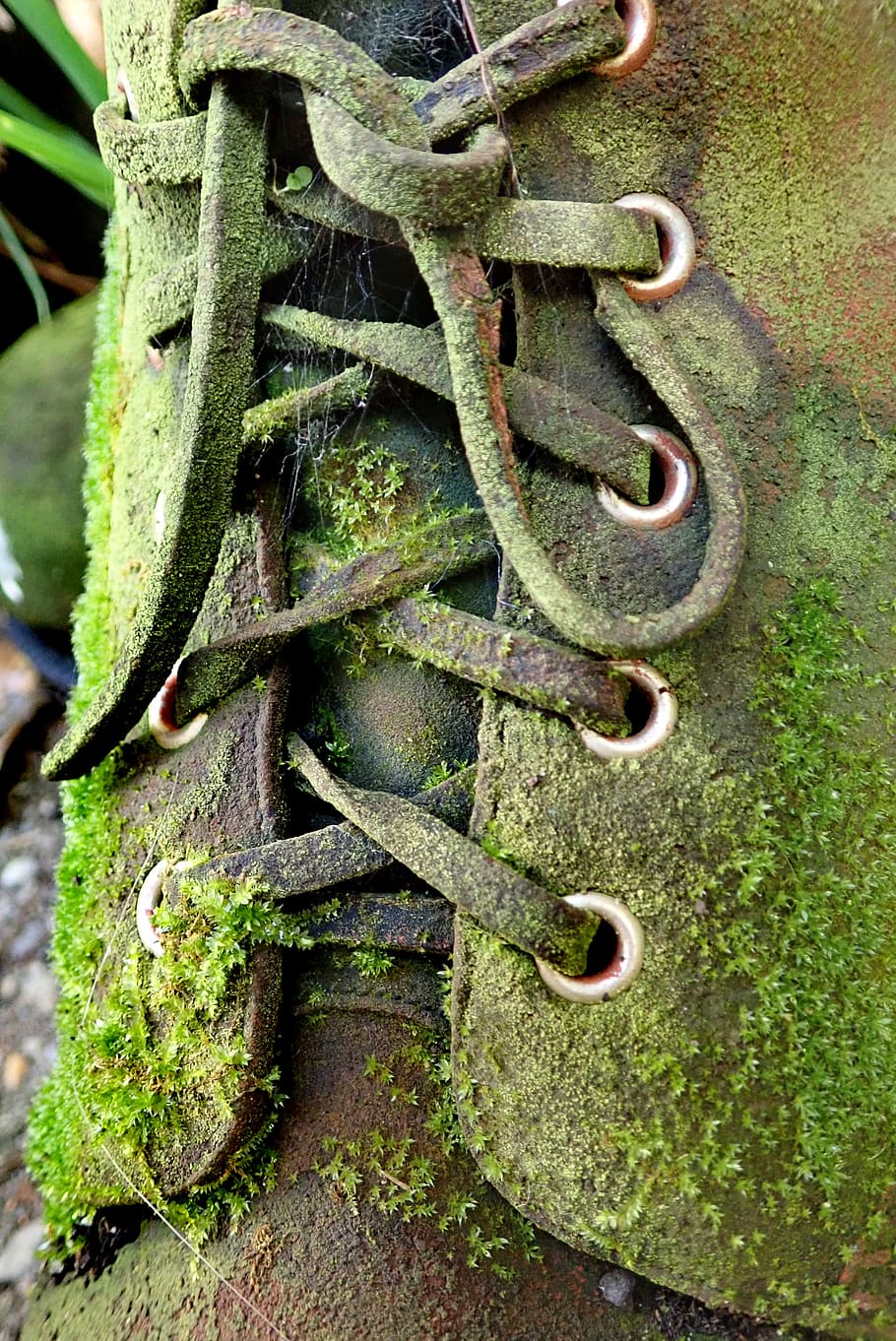 boot, old, moss, leather, outdoor, vintage, metal, rusty, close-up HD wallpaper