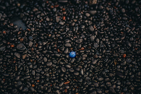 unique, standout, different, extraordinary, independent, unusual HD wallpaper