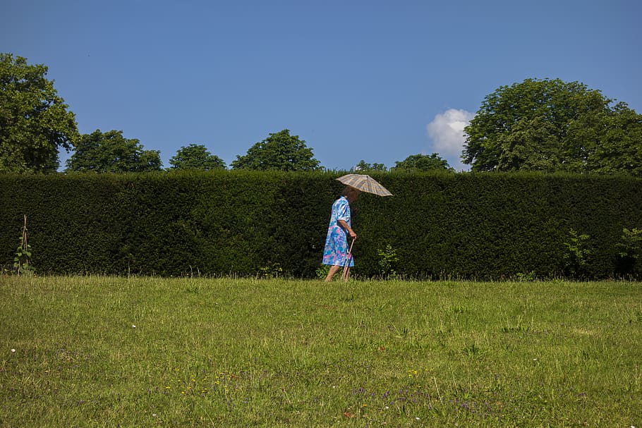 woman walking on grass field with bosh, plant, person, human, HD wallpaper
