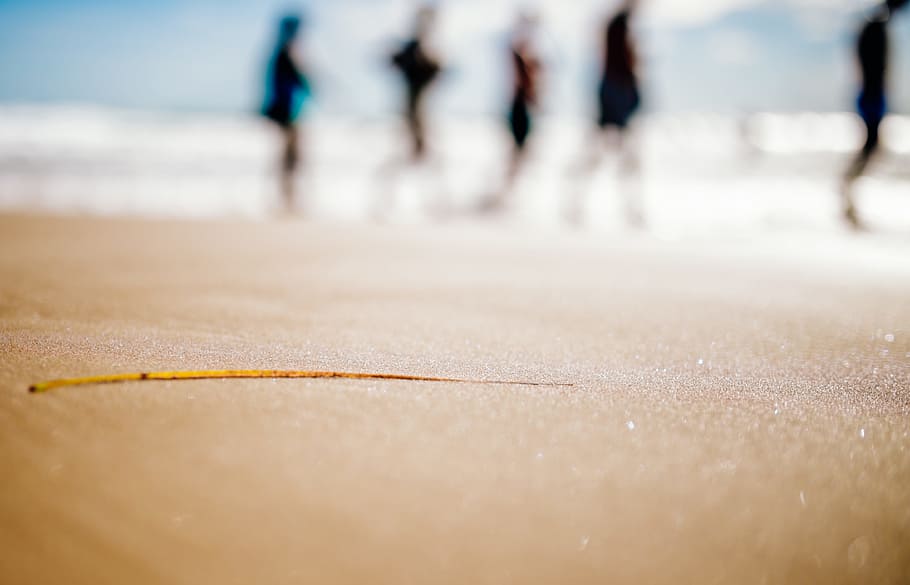 sea, water, river, human, activity, sand, beach, land, selective focus HD wallpaper