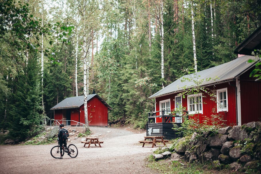 Red and White Wooden Houses Surrounded With Trees, architecture HD wallpaper