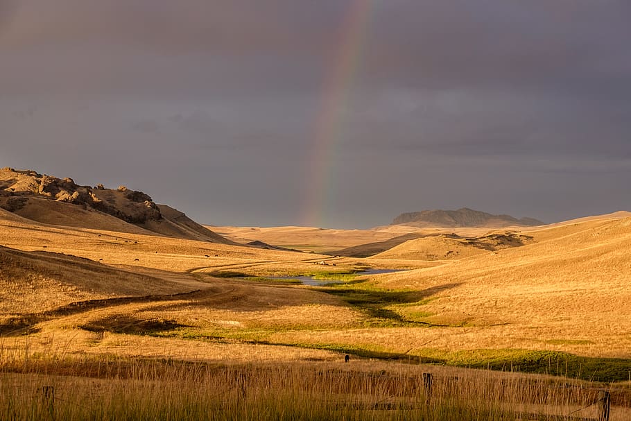 rainbow over dried grass field, outdoors, grassland, valley, landscape HD wallpaper