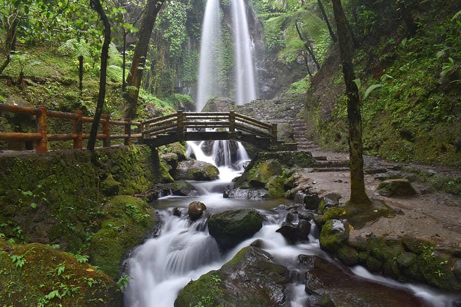 waterfall, cascade, creek, stream, landscape, nature, tree HD wallpaper