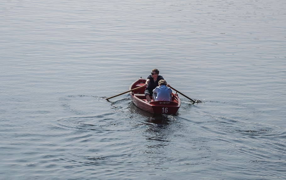 rowing, rowing boat, water, nature, recovery, leisure, summer HD wallpaper