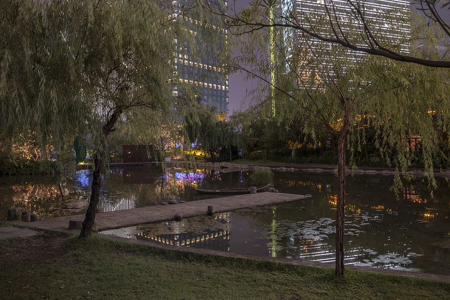 reflections, lake, city, night, trees, park, guangzhou, plant HD wallpaper