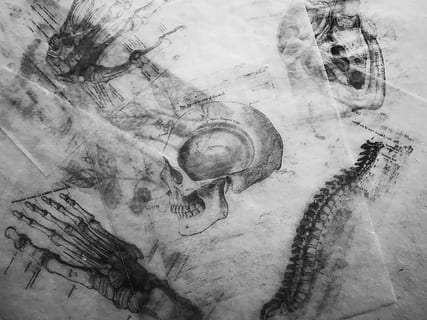 grayscale photography of human skull sketch, scary, android wallpaper HD wallpaper