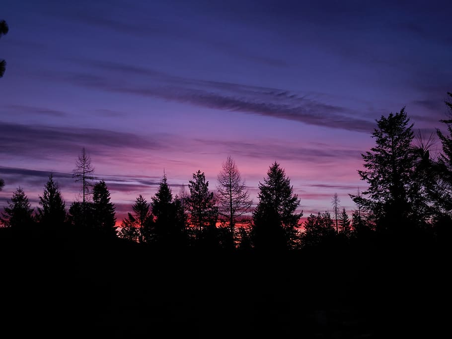 trees, sunset, sunrise, landscape, silhouettes, nature, beauty HD wallpaper