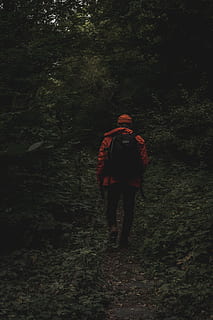 man walking between trees, apparel, clothing, person, human, coat HD wallpaper