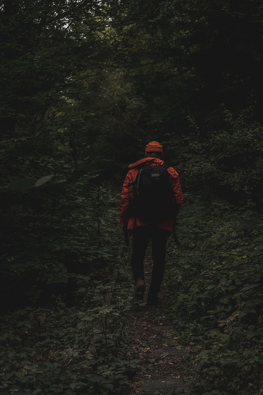 man walking between trees, apparel, clothing, person, human, coat HD wallpaper
