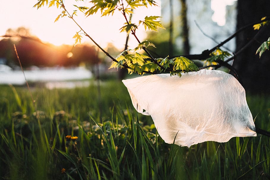 Plastic On Grass, hayfield, plants, focus on foreground, close-up HD wallpaper