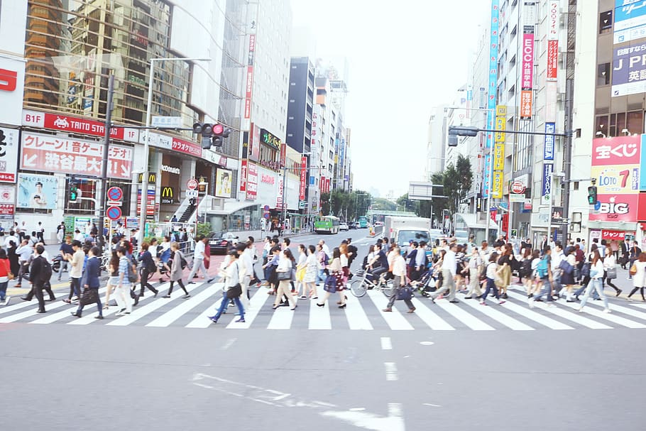 japan, shibuya, people, crowded, city, urban, busy street, travel, HD wallpaper