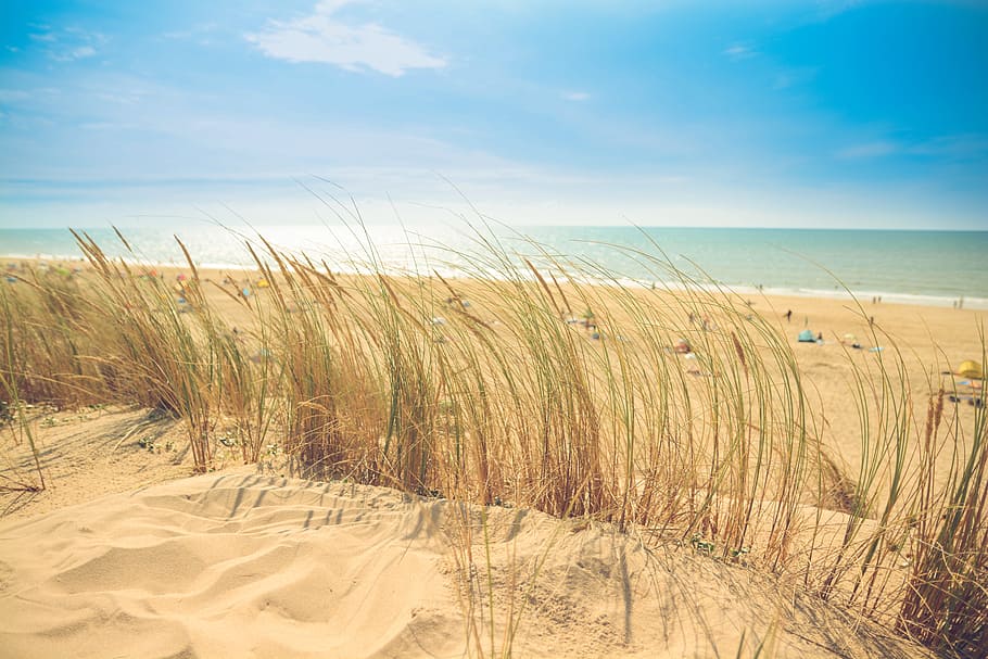 Brown Sand Beach, dune, holiday, sea, summer, sun, vacation, land HD wallpaper