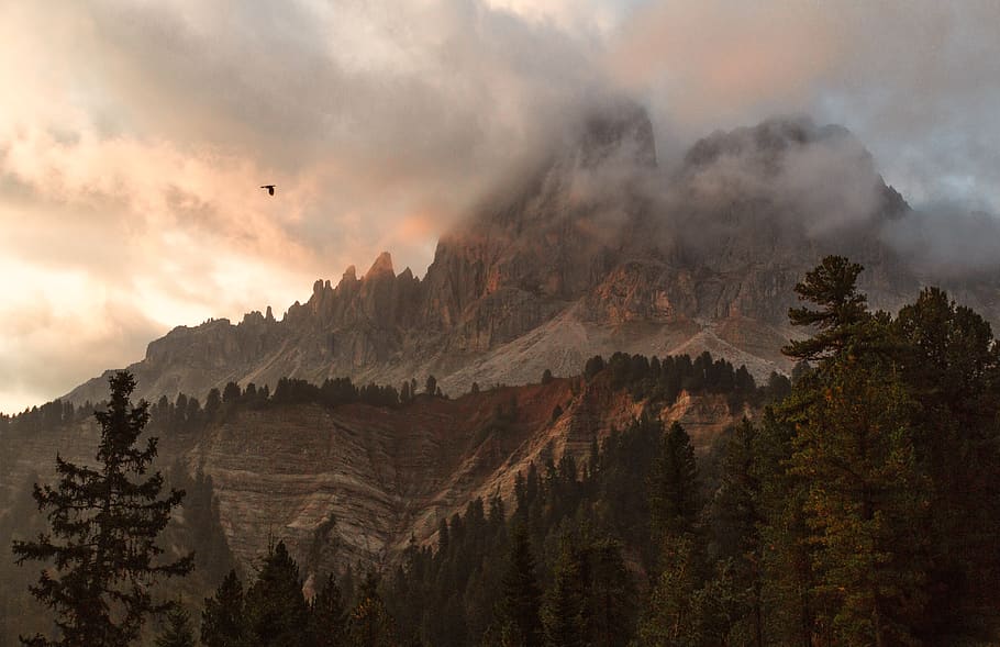 Mountain Surrounded With Trees, clouds, cloudy, conifer, daylight HD wallpaper