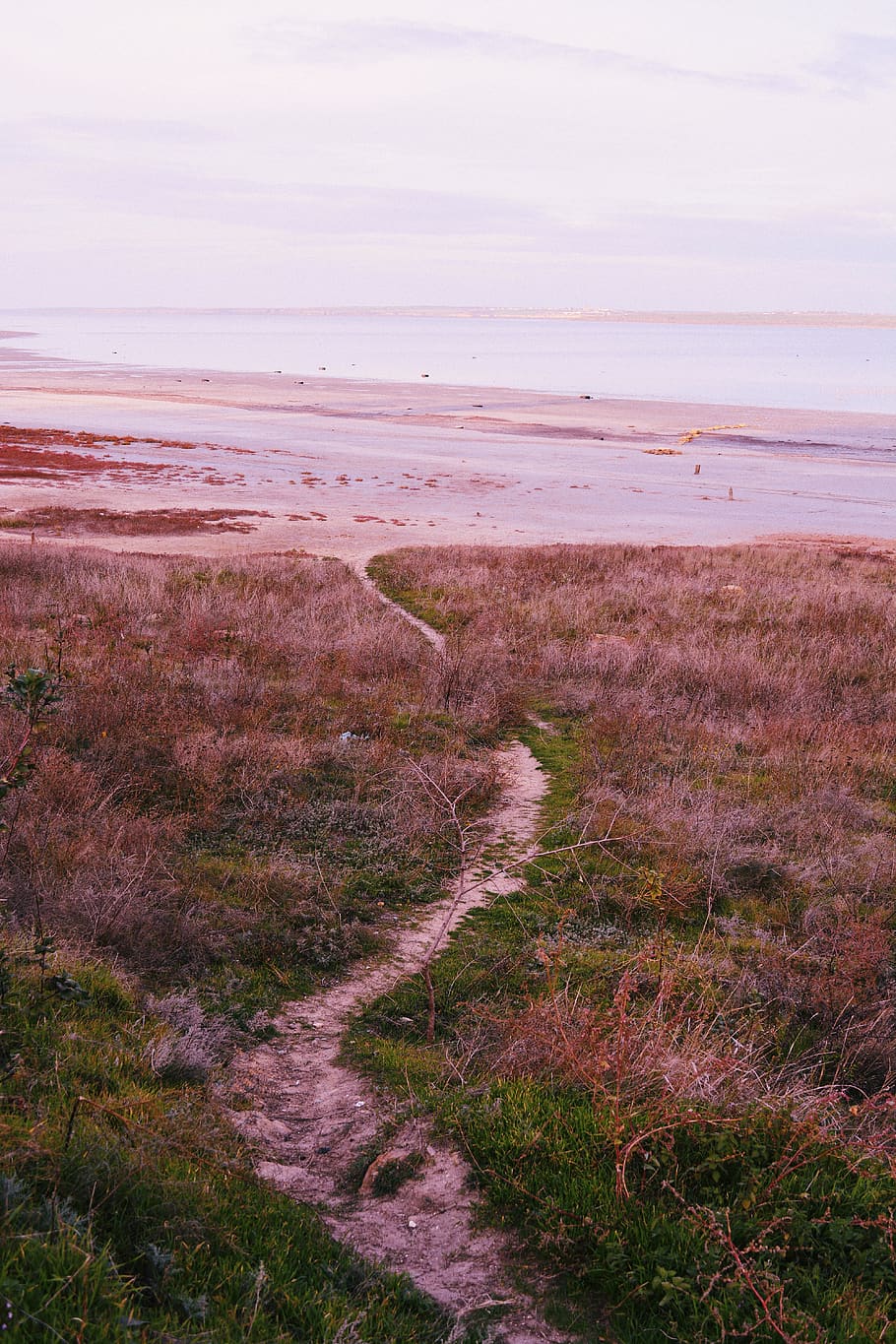 field, trail, sea, vsco, nature, landscape, wallpaper, background HD wallpaper