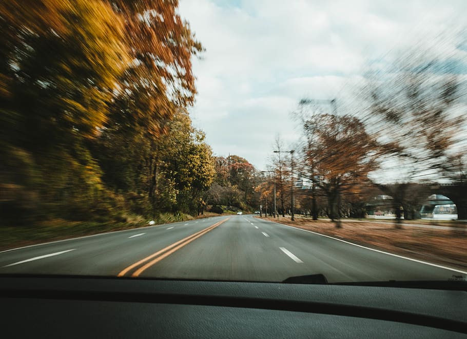 car passing through concrete road between trees, way, asphalt HD wallpaper
