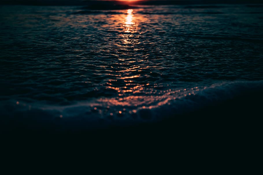 body of water during golden hour, beach, wave, light, reflection HD wallpaper