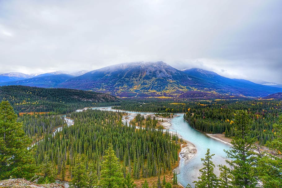 Green Trees, environment, landscape, mountains, nature, nature photography HD wallpaper