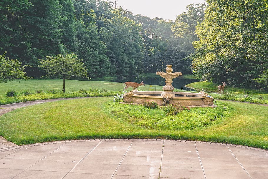 home, trees, lake, deer, plant, grass, art and craft, sculpture HD wallpaper