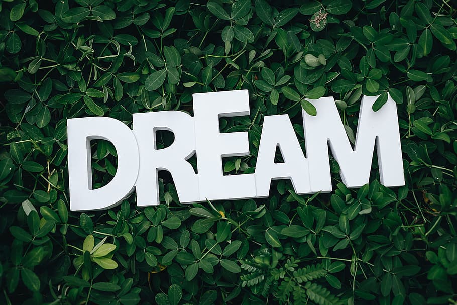 Dream Text on Green Leaves, alphabets, close-up, environment HD wallpaper