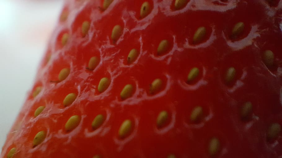 canada, toronto, agincourt, close-up, food, healthy eating HD wallpaper
