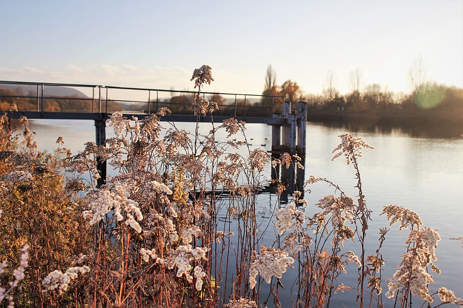 fall, river, sun, autumn, afternoon, wallpaper, water, sky HD wallpaper
