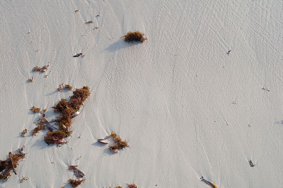 sand, beach, playa, life, vacation, travel, natural, nature HD wallpaper