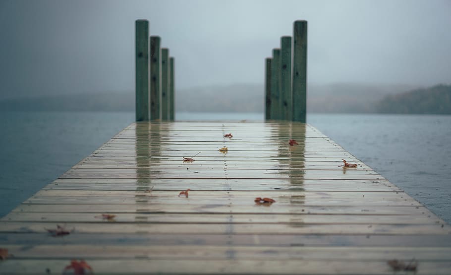 rain, fog, leafe, fall, dock, lake, water, wood - material HD wallpaper