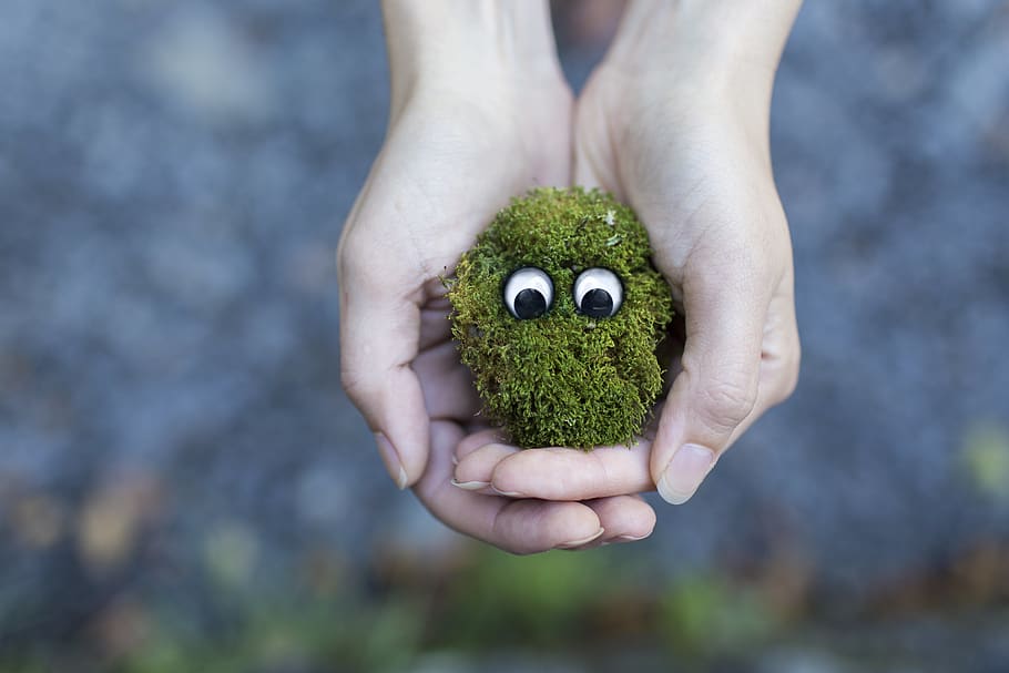 Person Showing Green Plant With Eyes, creative, grass, hands HD wallpaper