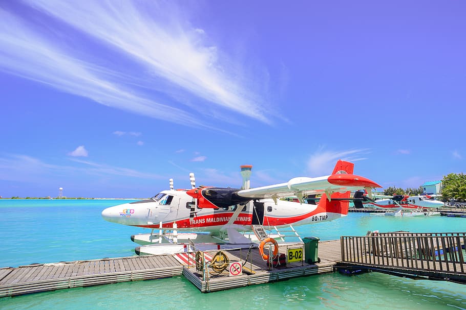 White and Red Plane on Body of Water Beside Brown Dock, beach