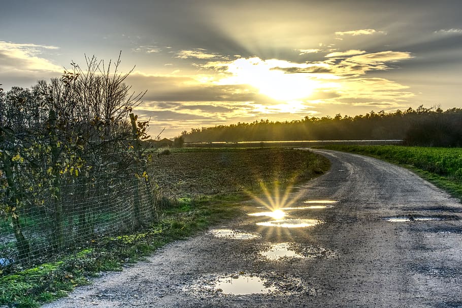 puddle, backlighting, mirroring, reflection, dazzling star HD wallpaper