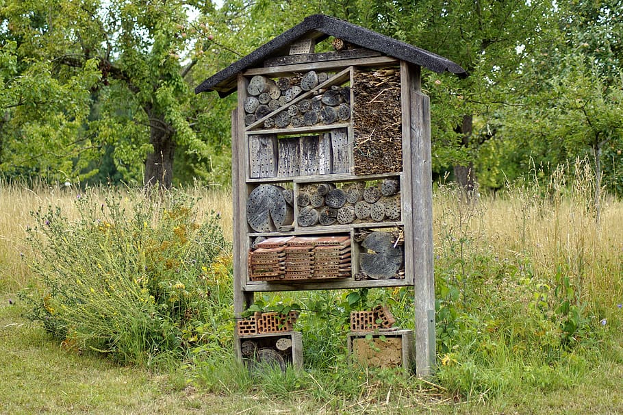 insect hotel, insect house, insect box, insect protection measures, HD wallpaper