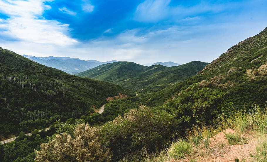trees, mountains, sky, landscape, scenic, road, flowers, beauty in nature HD wallpaper