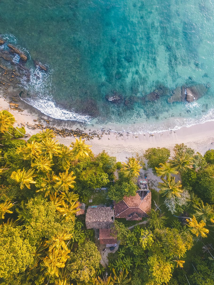 aerial, drone shot, house, villa, palm, trees, tropical, tropics, HD wallpaper