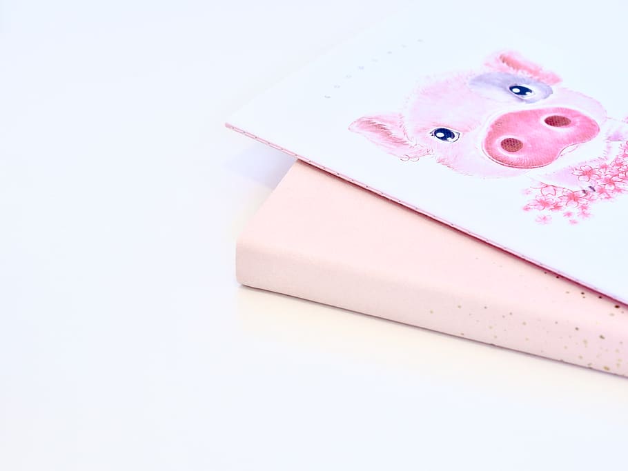 pink color, indoors, copy space, close-up, no people, paper HD wallpaper