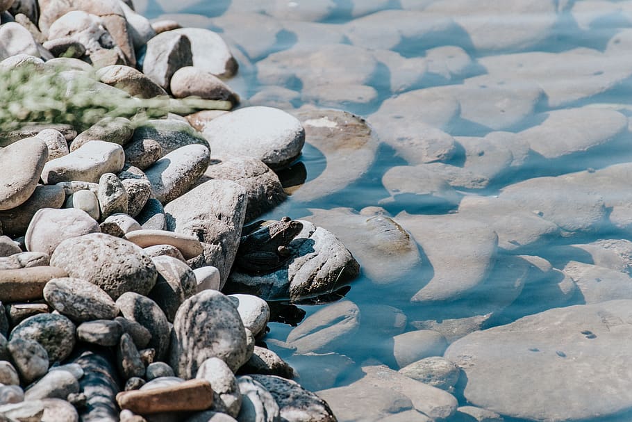 grey stones, russia, sochi, sochi olympic park, pebble, rock HD wallpaper