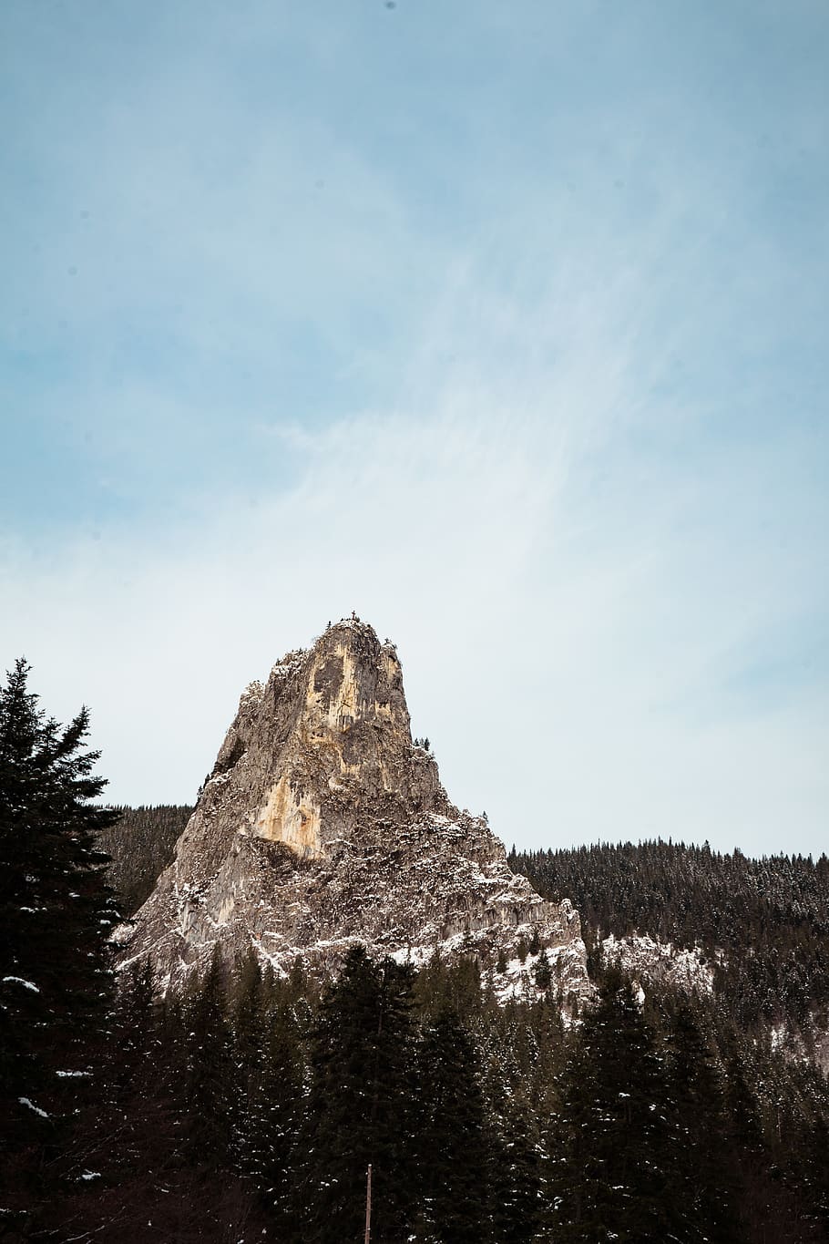 Brown Mountain Surrounded by Trees, altitude, cold, daylight HD wallpaper