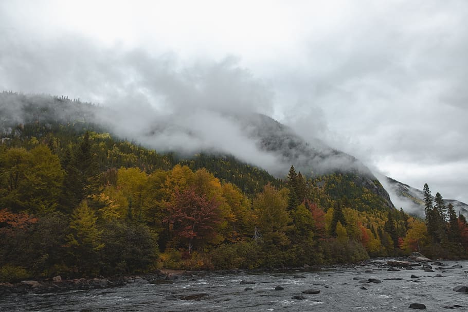 canada, clermont, forest, river, mountain, scenics - nature HD wallpaper
