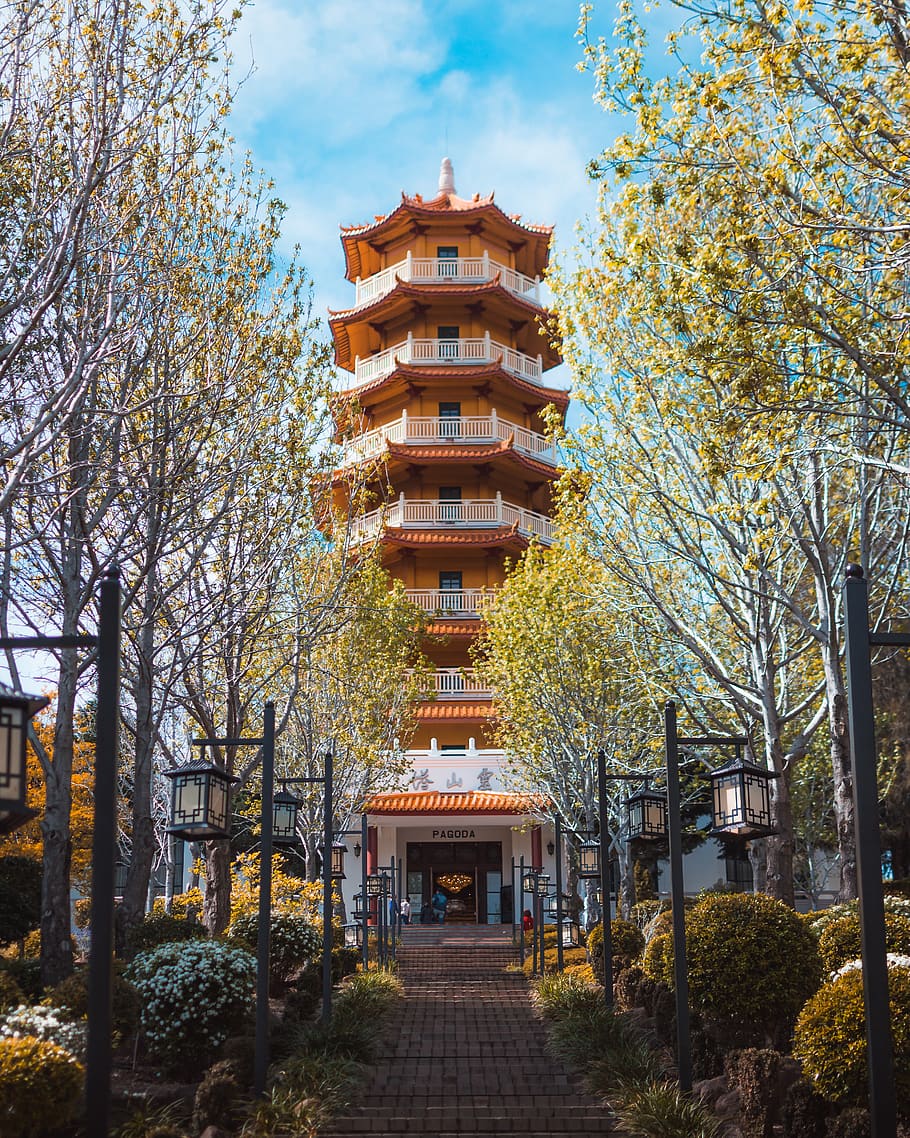 brown high-rise building, tree, path, temple, blue sky, religion HD wallpaper