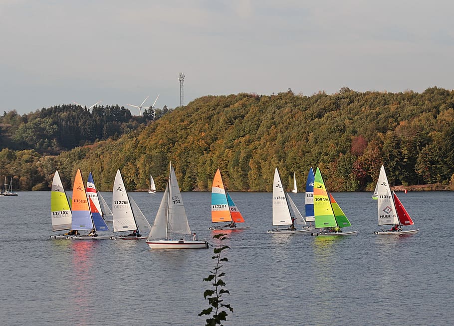 sailing boats, regatta, colorful sailing, catamarans, lake