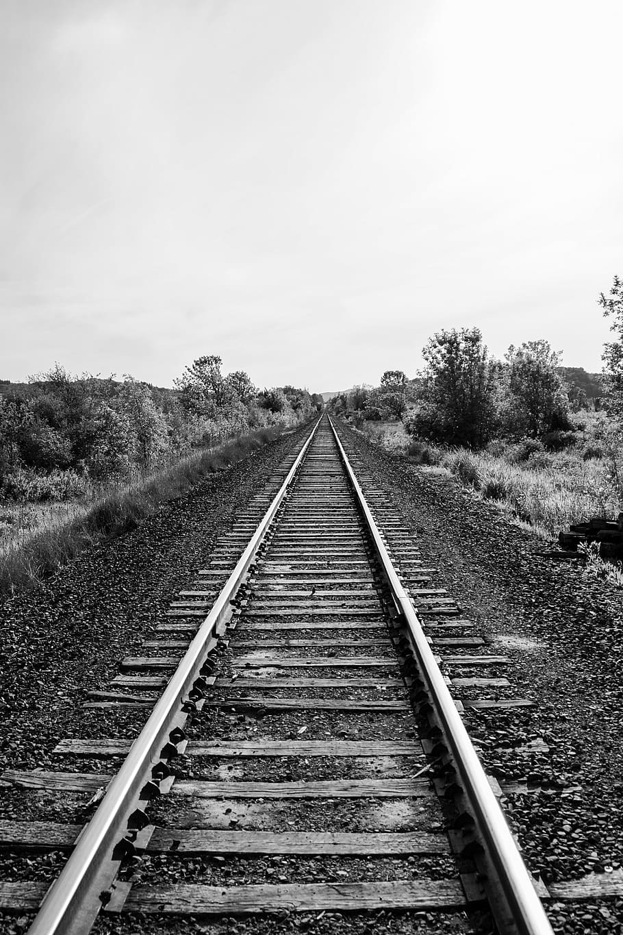 united states, eugene, track, the way forward, rail transportation HD wallpaper
