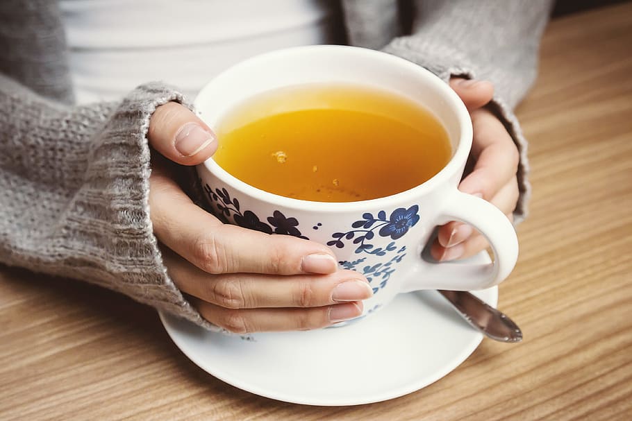 Female hands holding hot cup of tea, drink, food and drink, mug HD wallpaper