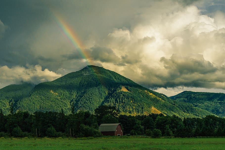 rainbow, mountains, hills, green, grass, fields, trees, nature HD wallpaper