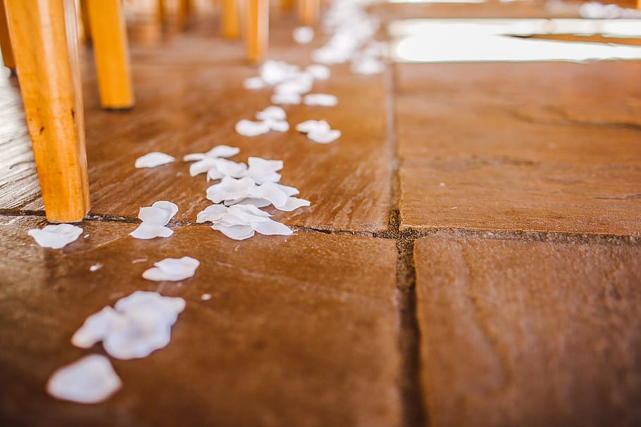 confetti, close-up, indoors, selective focus, wood - material HD wallpaper
